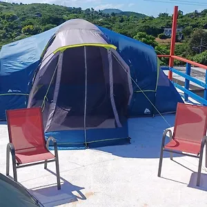 https://house-rooster-run-and-camping.top-hotels-puertorico.com